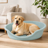 Hard Plastic Dog Cat Pet Puppy Bed