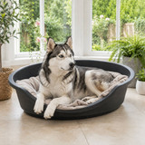 Hard Plastic Dog Cat Pet Puppy Bed