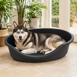 Hard Plastic Dog Cat Pet Puppy Bed