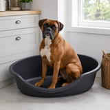 Hard Plastic Dog Cat Pet Puppy Bed