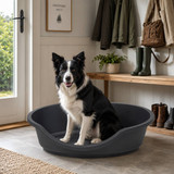 Hard Plastic Dog Cat Pet Puppy Bed