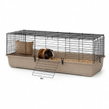 Indoor Guinea Pig Cage Single Tier
