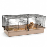 Indoor Guinea Pig Cage Single Tier