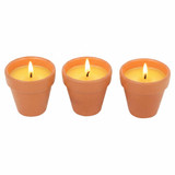 Citronella Scented Candles