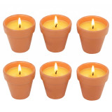 Citronella Scented Candles