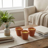 Citronella Scented Candles