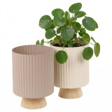 Modern Ribbed Ceramic Planter