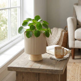 Modern Ribbed Ceramic Planter