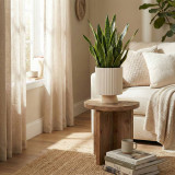 Modern Ribbed Ceramic Planter