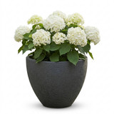 Large Round Modern Plant Pot