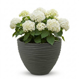 Large Round Modern Plant Pot