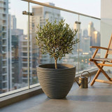 Large Round Modern Plant Pot