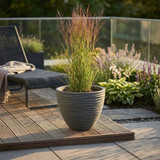 Large Round Modern Plant Pot