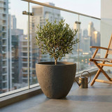 Large Round Modern Plant Pot