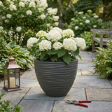Large Round Modern Plant Pot