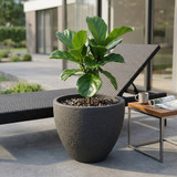 Large Round Modern Plant Pot