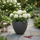 Large Round Modern Plant Pot