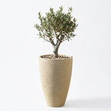 43cm Cream Ribbed Tapered Planter