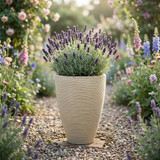 43cm Cream Ribbed Tapered Planter
