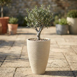 43cm Cream Ribbed Tapered Planter