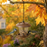 1/2/3 x Avian Plastic Bird Feeder