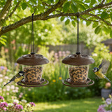 1/2/3 x Avian Plastic Bird Feeder