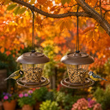 1/2/3 x Avian Plastic Bird Feeder