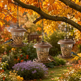 1/2/3 x Avian Plastic Bird Feeder