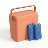 Large 24L Pastel Coloured Cooler Box
