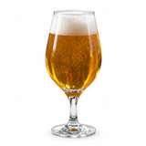 6 Craft Beer Glasses Stemmed Tulip Draught Ale Lager Goblet