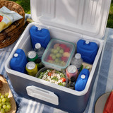 Reusable Ice Packs for Cooler Boxes & Bags