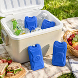 Reusable Ice Packs for Cooler Boxes & Bags