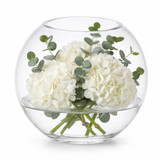 Clear Glass Bubble Vase Flower Fish Bowls