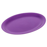 Reusable Oval Plastic Serving Platter Party BBQ & Picnics