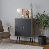 FRESCO 2 Door Storage Cabinet w/ Scandinavian Style Legs