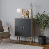 FRESCO 2 Door Storage Cabinet w/ Scandinavian Style Legs