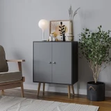 FRESCO 2 Door Storage Cabinet w/ Scandinavian Style Legs