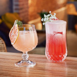 Eclat Cristal D'arques Hi-Ball Tumbler 280ml Eclat Cristal D'arques Hi-Ball Tumbler 280ml