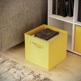Collapsible Non-Woven Storage Box - L