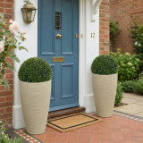 43cm Ribbed Tapered Planter w/ 27cm Buxus Ball