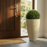 43cm Ribbed Tapered Planter w/ 27cm Buxus Ball