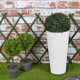 Round Pots with Boxwood Ball Plant - 28x25x25cm