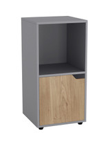 2-Cube Shelving Unit With Wooden Door