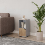 2-Cube Shelving Unit With Wooden Door