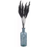33cm Glass Vase with Black Pampas Plume