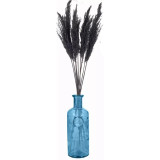 33cm Glass Vase with Black Pampas Plume