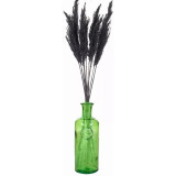 33cm Glass Vase with Black Pampas Plume