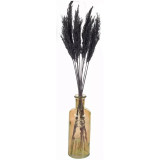33cm Glass Vase with Black Pampas Plume
