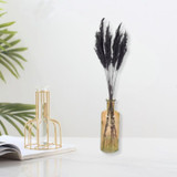 33cm Glass Vase with Black Pampas Plume