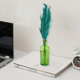 33cm Glass Vase with Green Pampas Plume